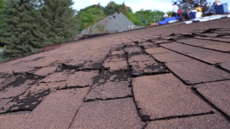 Best 4 Ply Roofing  in East Hills, NY